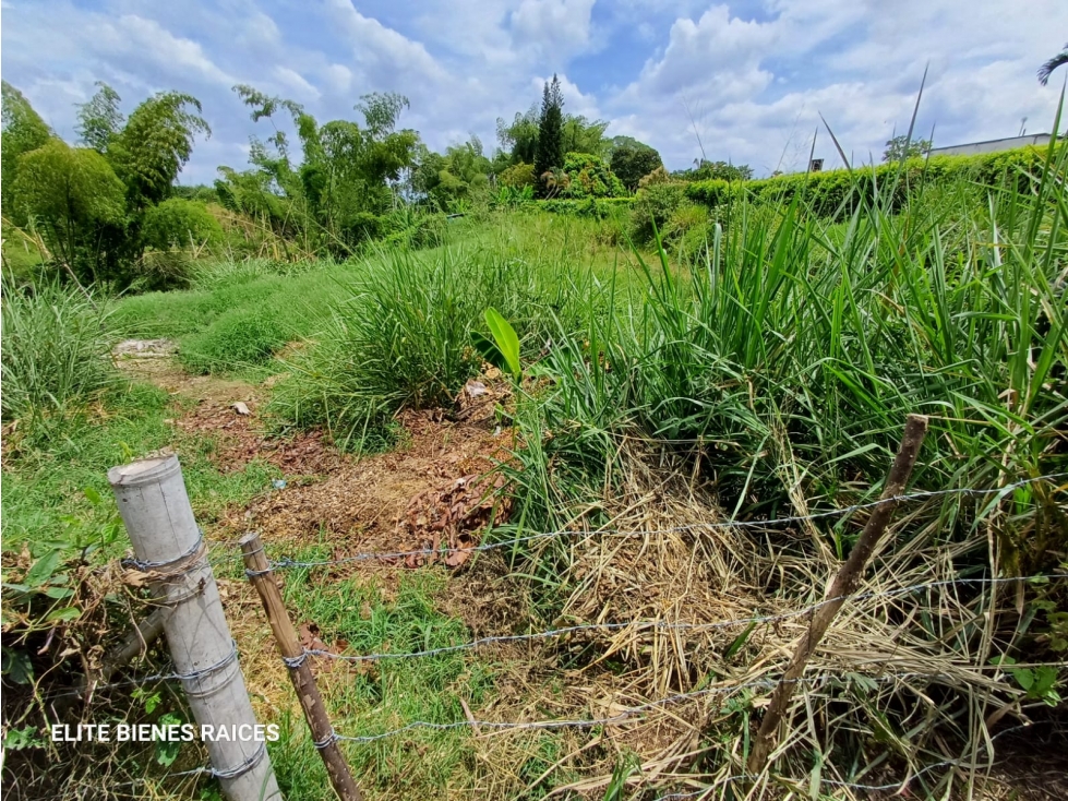 LOTE / TERRENO EN PUEBLO TAPAO - 3