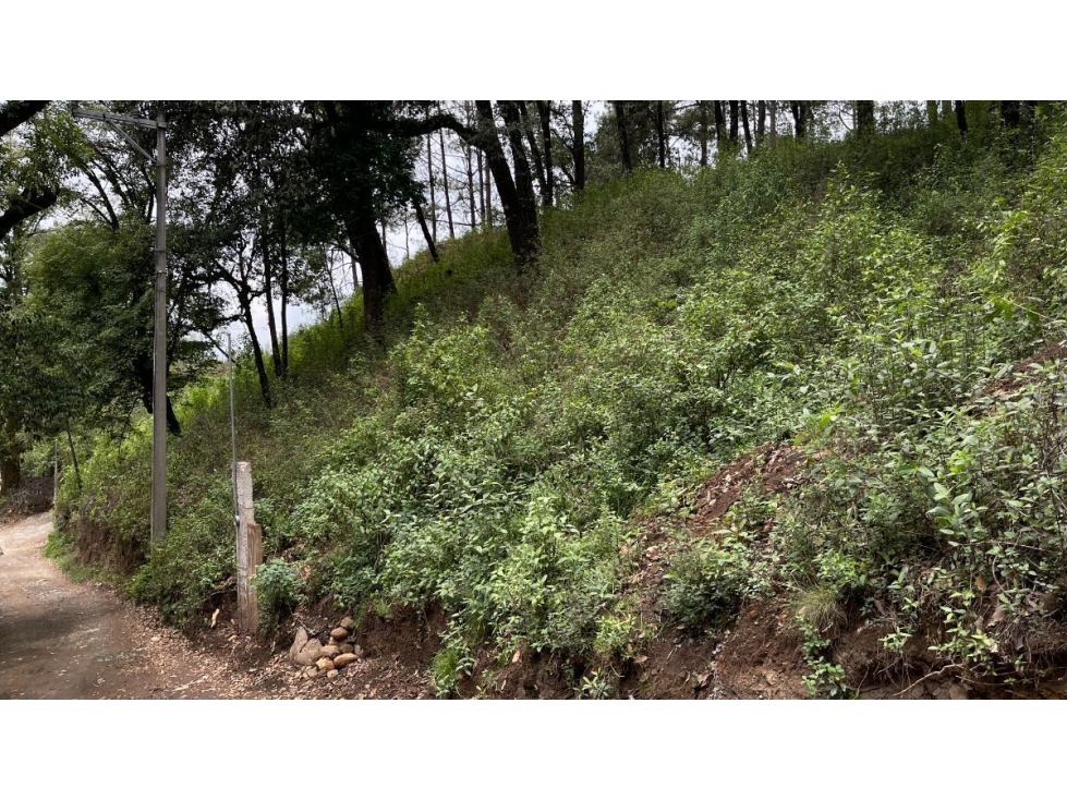 TERRENO EN VENTA EN SAN SIMON - 1