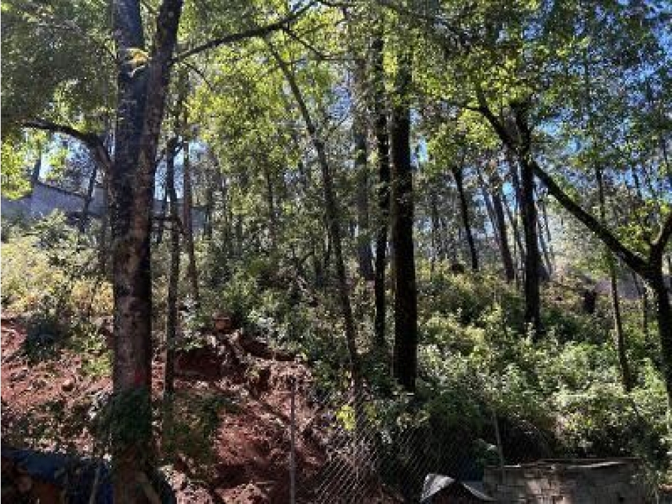 TERRENO EN VENTA, AVÀNDARO