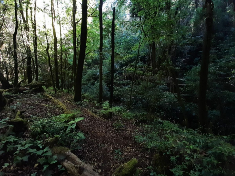 Terreno en Venta, Cerro Gordo Avándaro