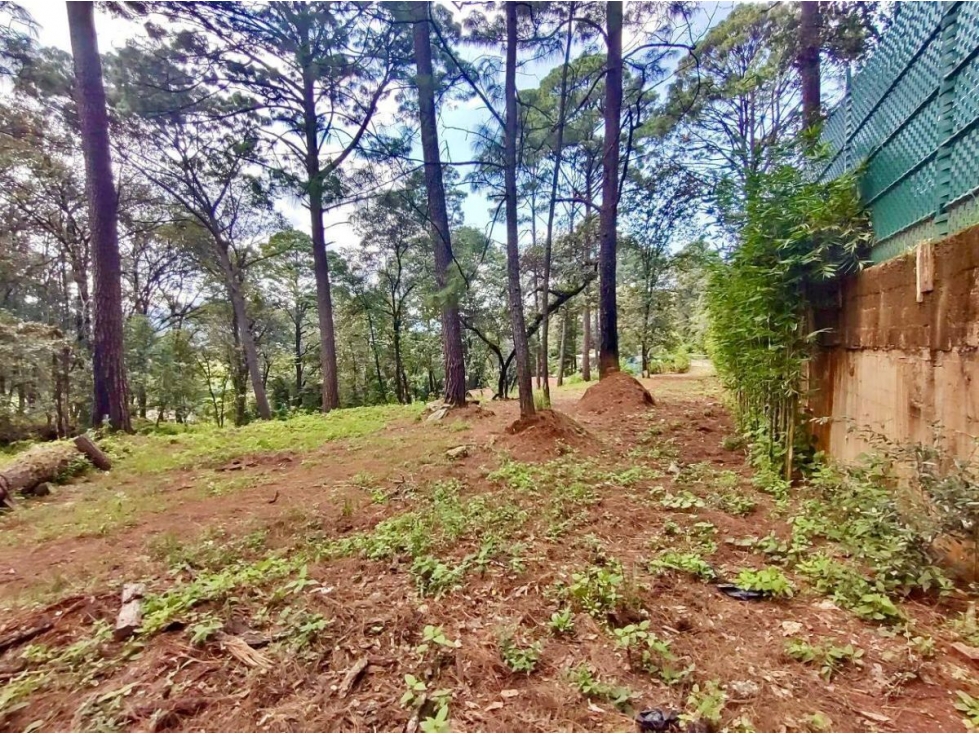 TERRENO EN VENTA, LOS ALAMOS