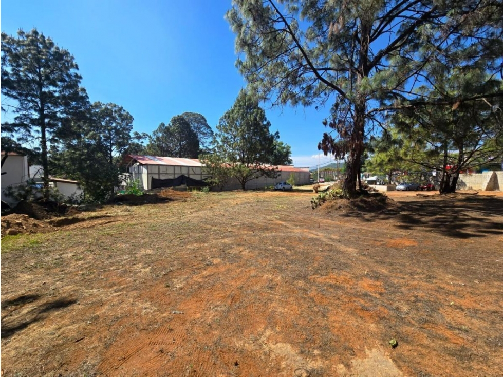 TERRENO EN VENTA, CAMINO AL FRESNO. - 1