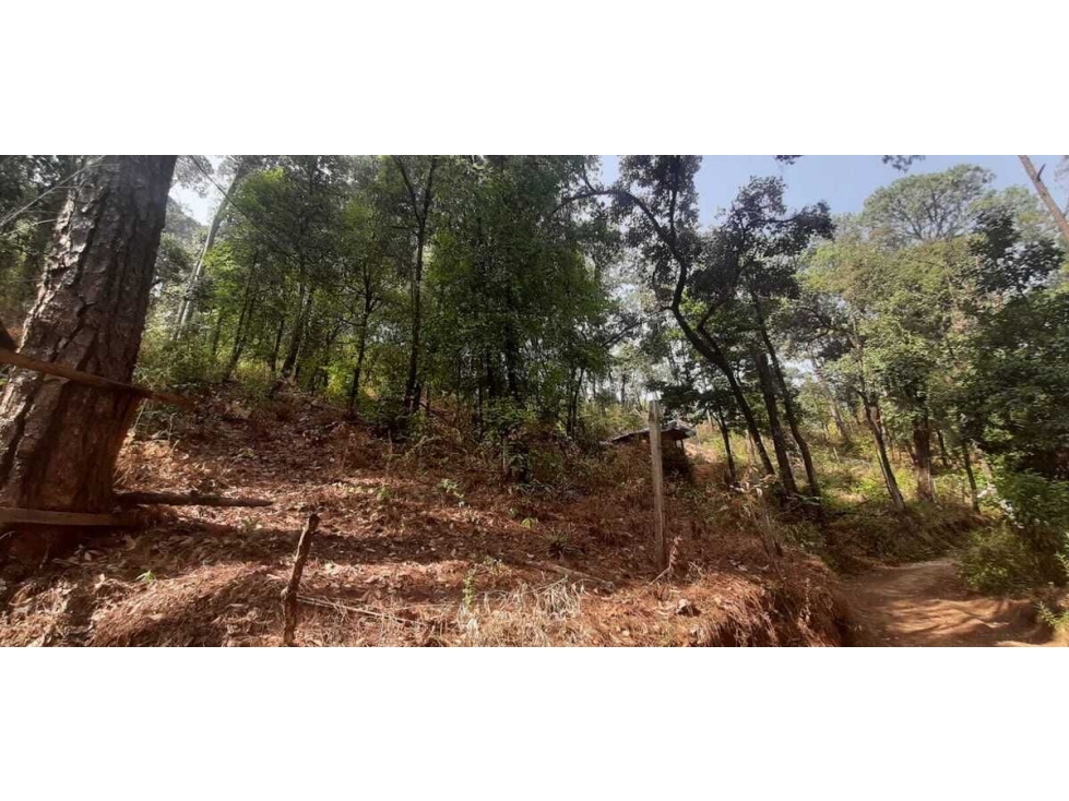 TERRENO EN VENTA, AVANDARO GRAN OPORTUNIDAD