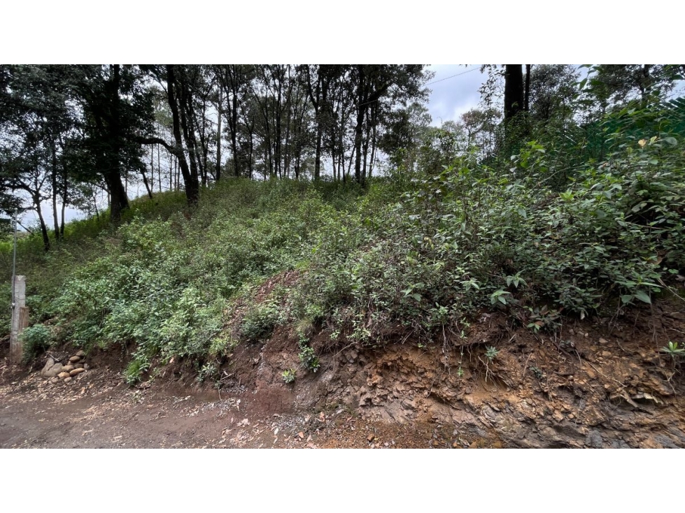 TERRENO EN VENTA EN SAN SIMON - 2