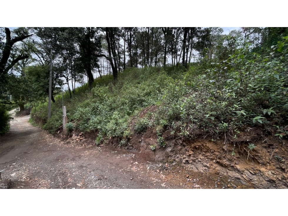 TERRENO EN VENTA EN SAN SIMON - 3