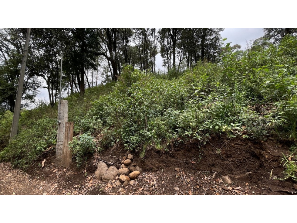 TERRENO EN VENTA EN SAN SIMON - 6