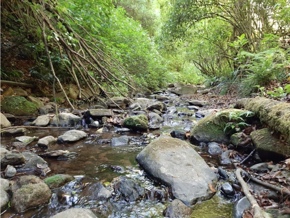 Terreno en Venta, Cerro Gordo Avándaro — foto 2