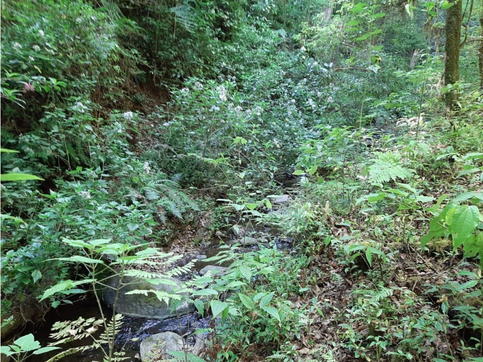 Terreno en Venta, Cerro Gordo Avándaro — foto 3