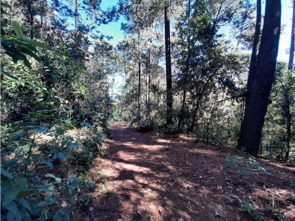 Terreno en Venta, Cerro Gordo Avándaro — foto 4