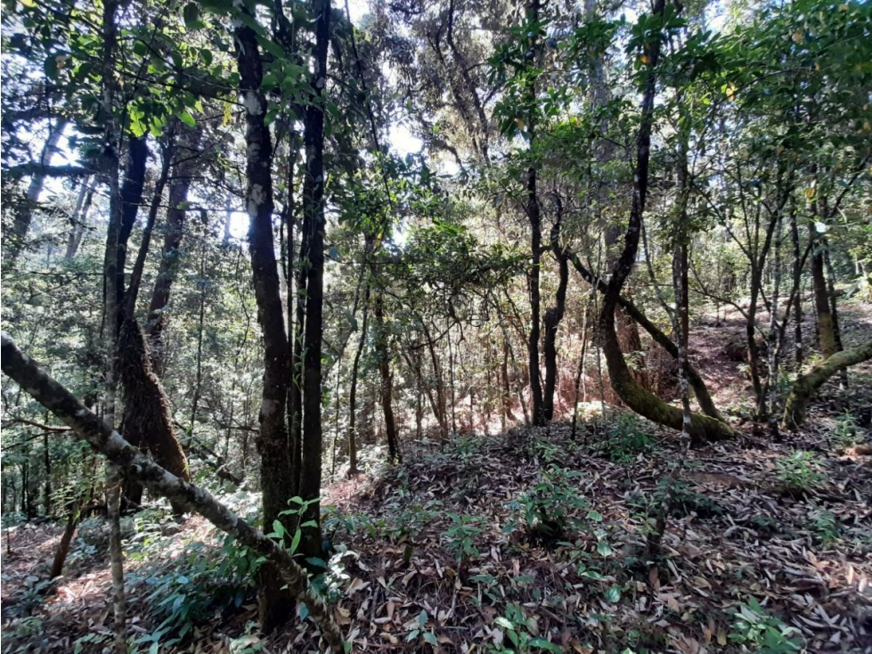 Terreno en Venta, Cerro Gordo Avándaro — foto 5