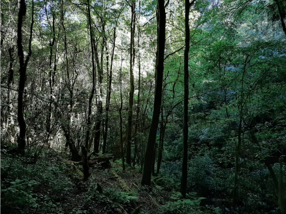Terreno en Venta, Cerro Gordo Avándaro — foto 6