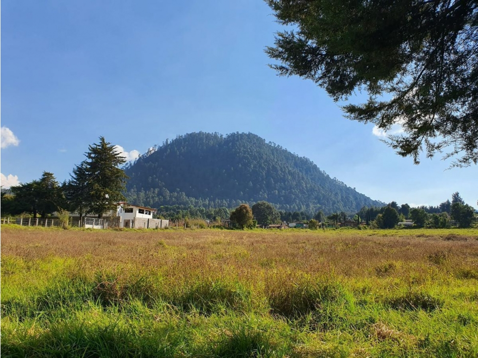 TERRENO EN VENTA, CERRO GORDO. - 3