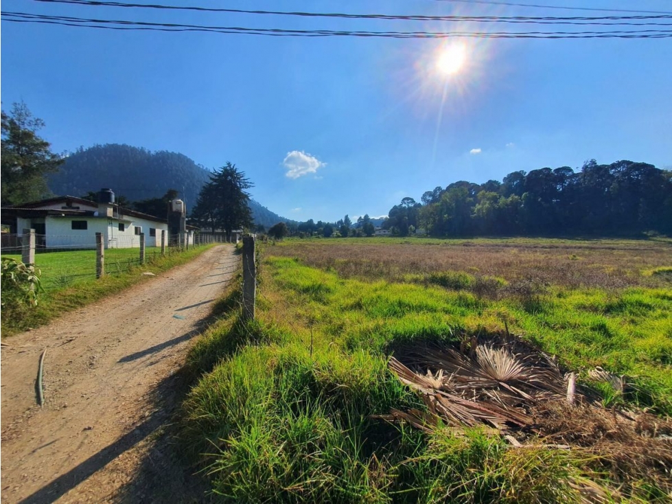 TERRENO EN VENTA, CERRO GORDO. - 5