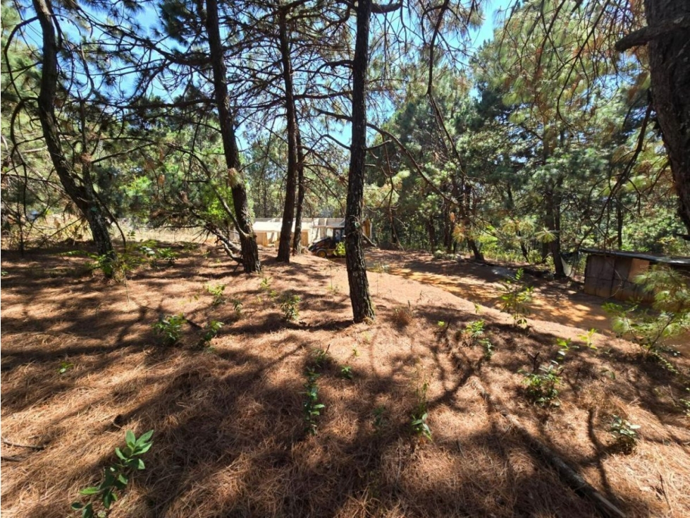 TERRENO EN VENTA, CAMINO AL FRESNO. - 3
