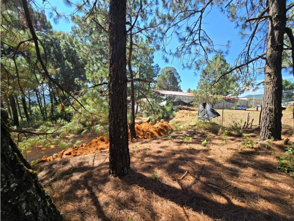 TERRENO EN VENTA, CAMINO AL FRESNO. - 4