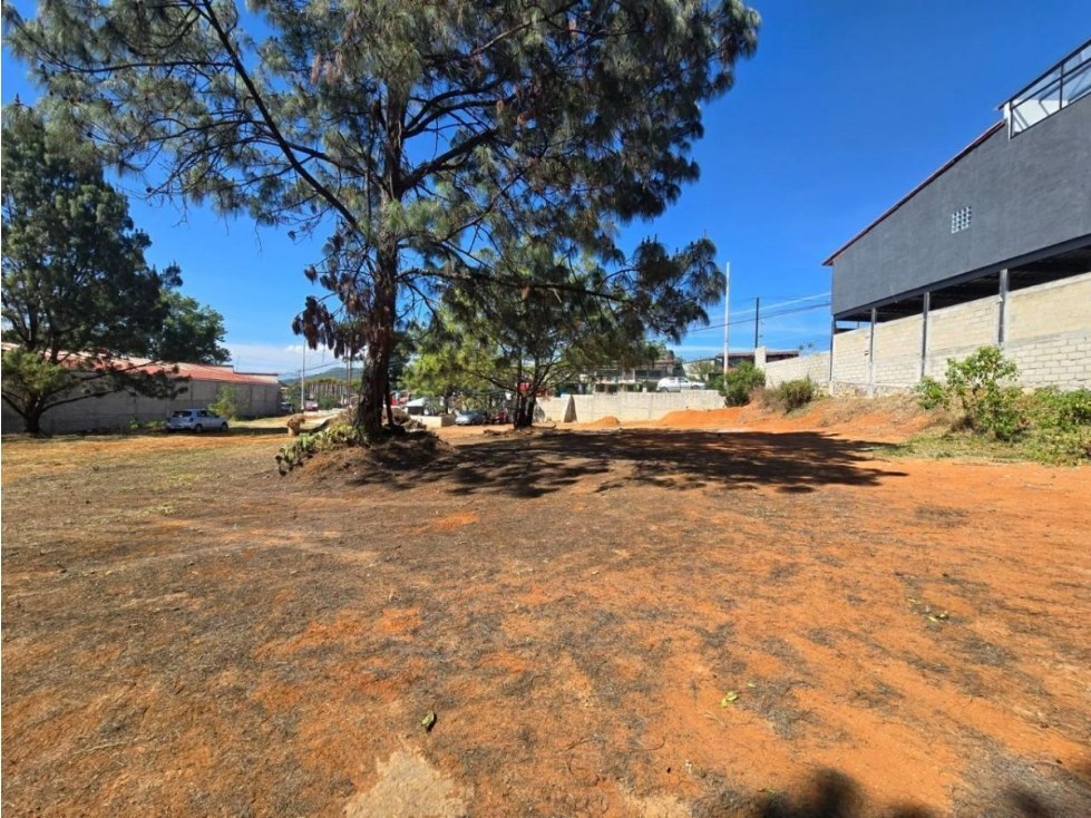 TERRENO EN VENTA, CAMINO AL FRESNO. - 5