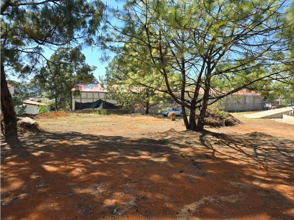 TERRENO EN VENTA, CAMINO AL FRESNO. - 6