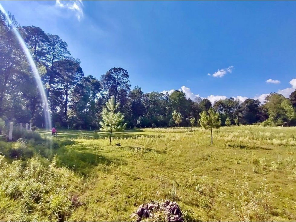 TERRENO EN VENTA, EL TEMPORAL. — foto 3