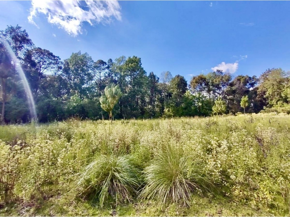 TERRENO EN VENTA, EL TEMPORAL. — foto 4