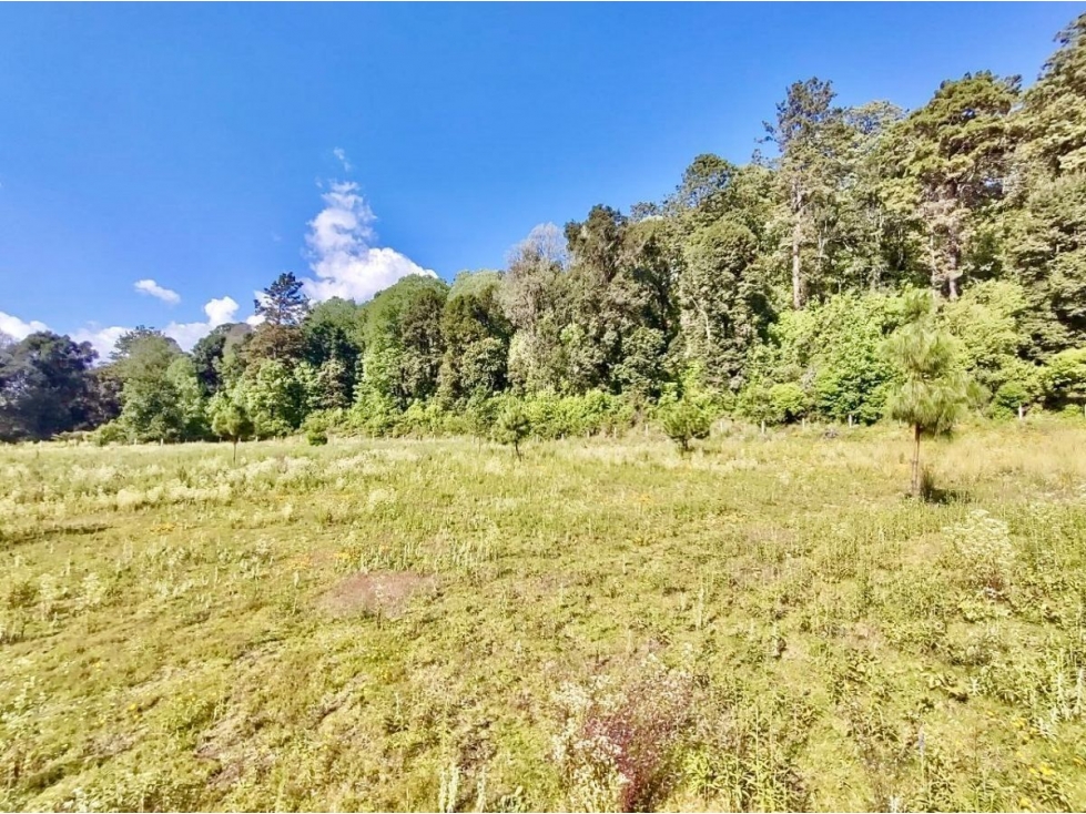 TERRENO EN VENTA, EL TEMPORAL. — foto 2