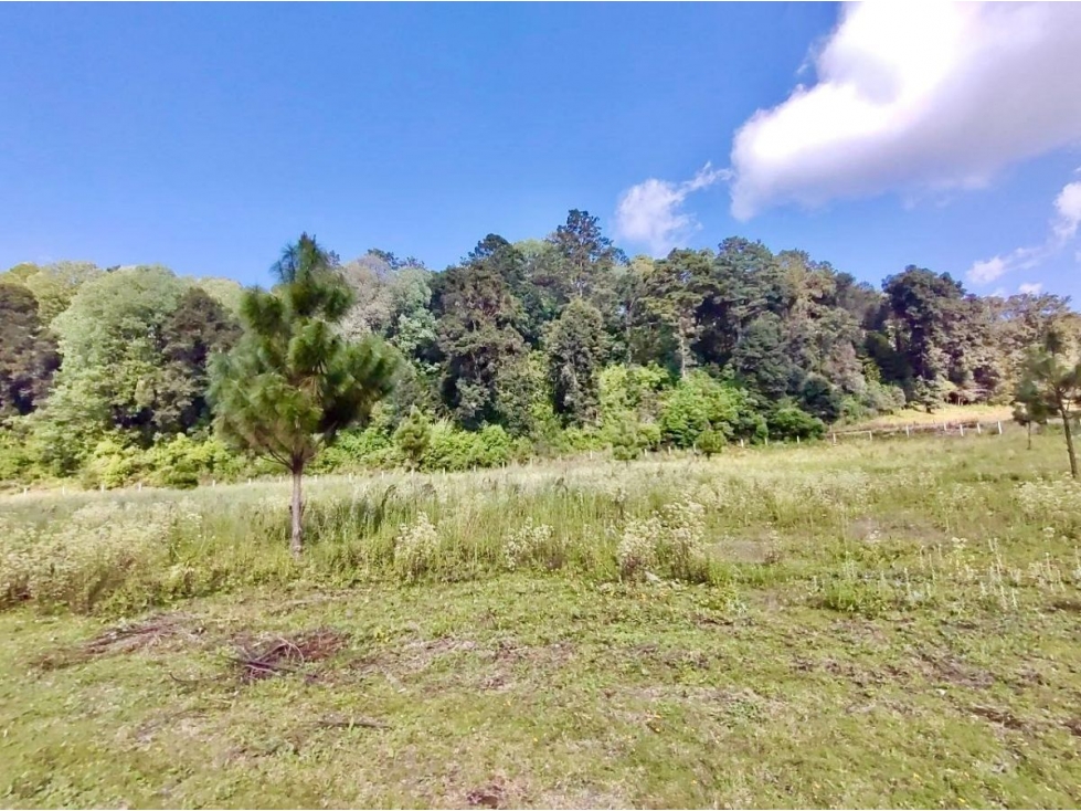 TERRENO EN VENTA, EL TEMPORAL. — foto 6