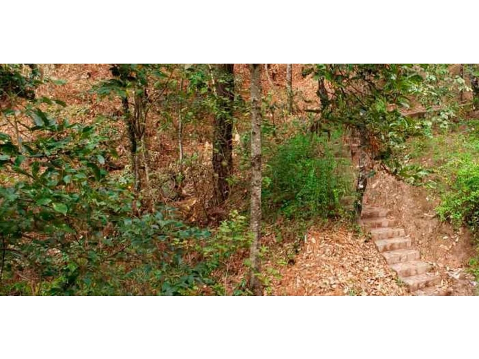 TERRENO EN VENTA EN VALLE DE BRAVO