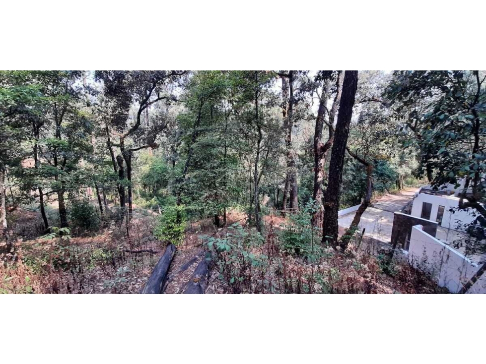 TERRENO EN VENTA, AVANDARO GRAN OPORTUNIDAD — foto 2