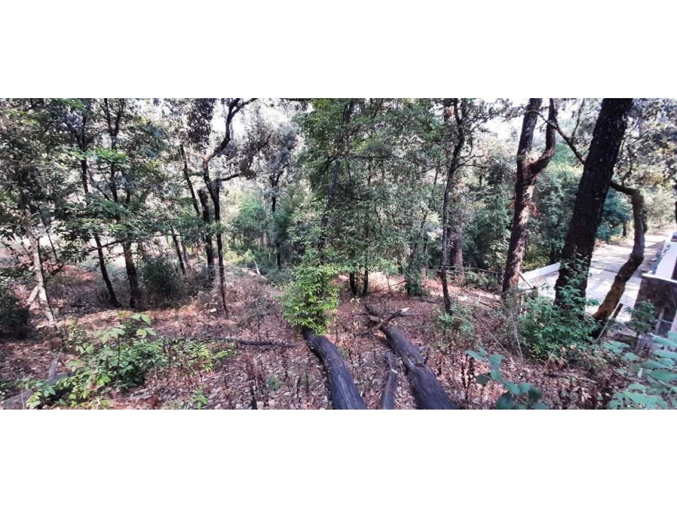 TERRENO EN VENTA, AVANDARO GRAN OPORTUNIDAD — foto 3