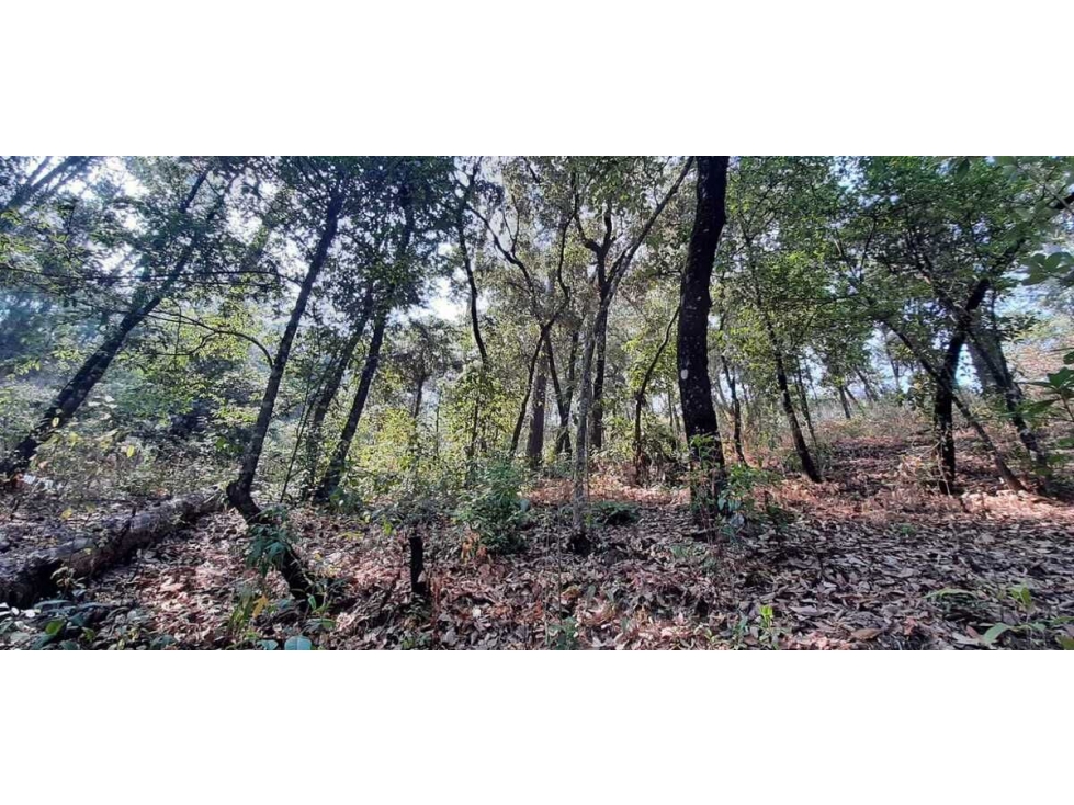 TERRENO EN VENTA, AVANDARO GRAN OPORTUNIDAD — foto 4
