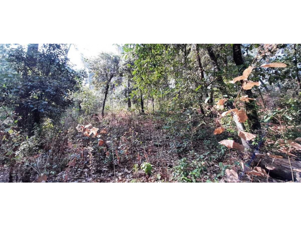 TERRENO EN VENTA, AVANDARO GRAN OPORTUNIDAD — foto 5