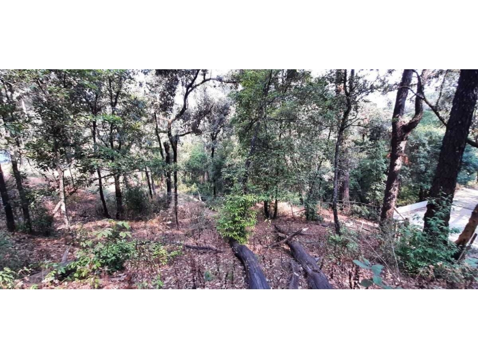 TERRENO EN VENTA, AVANDARO GRAN OPORTUNIDAD — foto 6