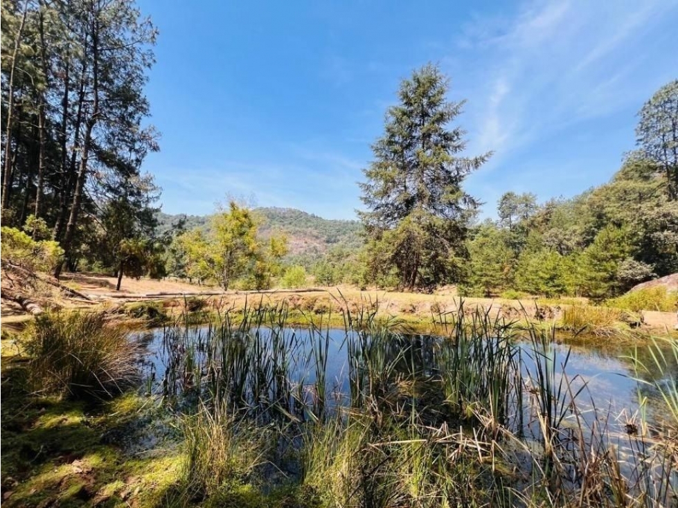 TERRENO EN VENTA EN LAGUNA NEGRA