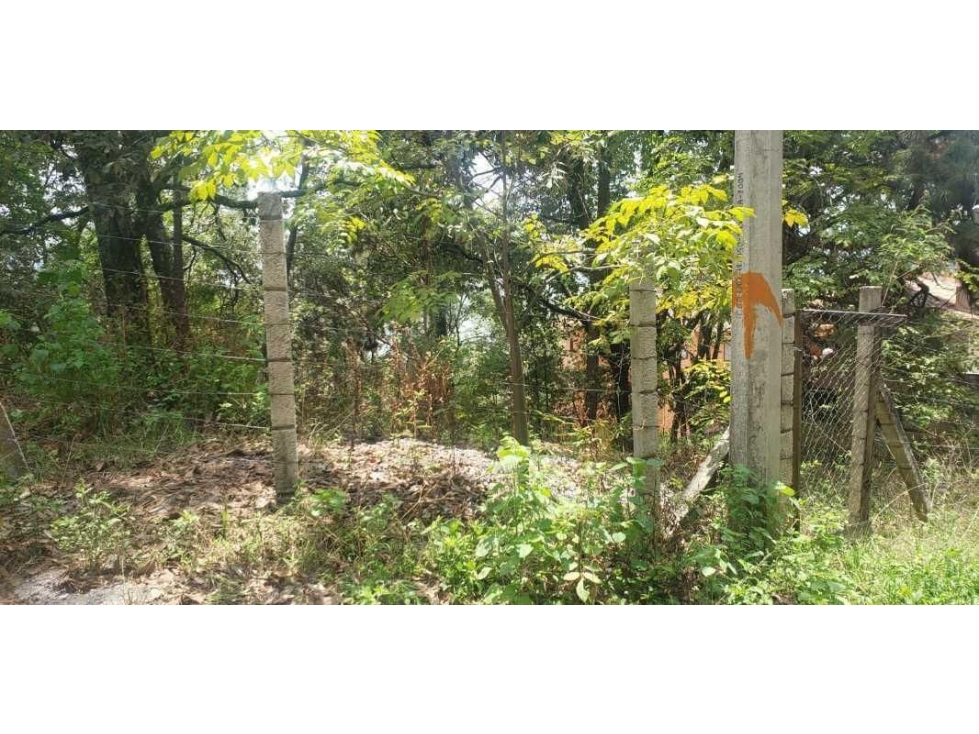 TERRENO EN VENTA EN VALLE DE BRAVO — foto 4