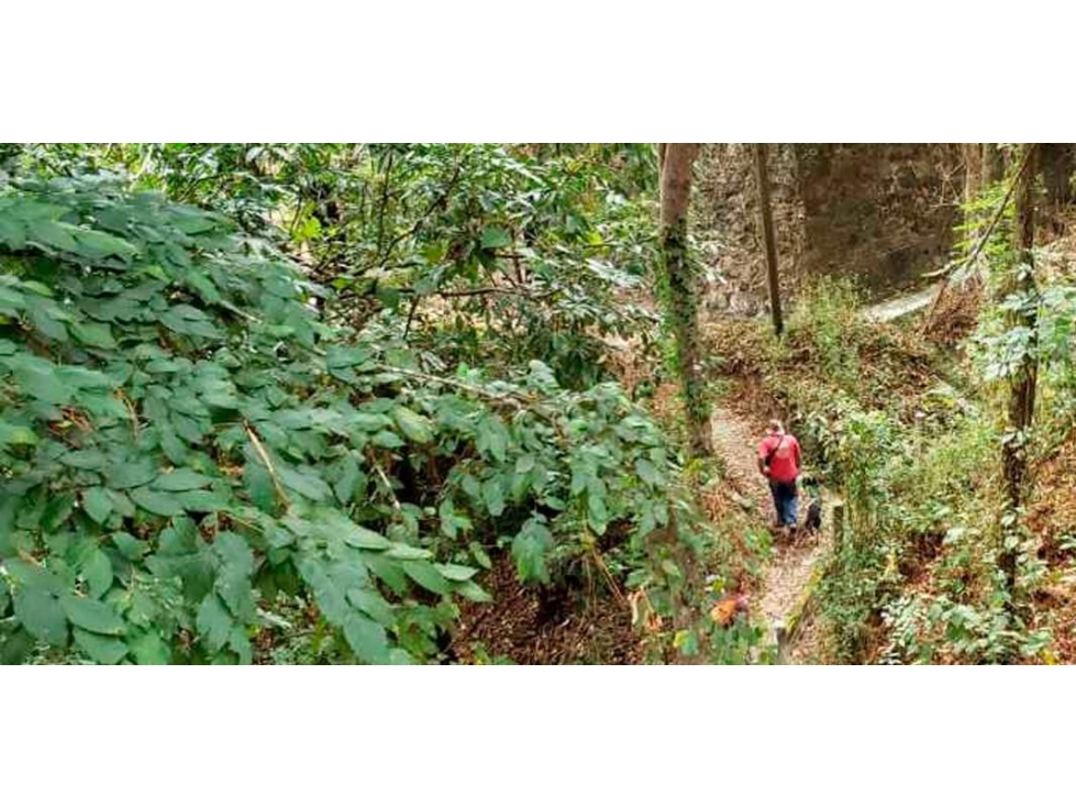 TERRENO EN VENTA EN VALLE DE BRAVO — foto 5