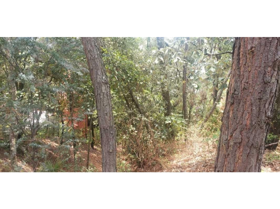 TERRENO EN VENTA EN VALLE DE BRAVO — foto 6