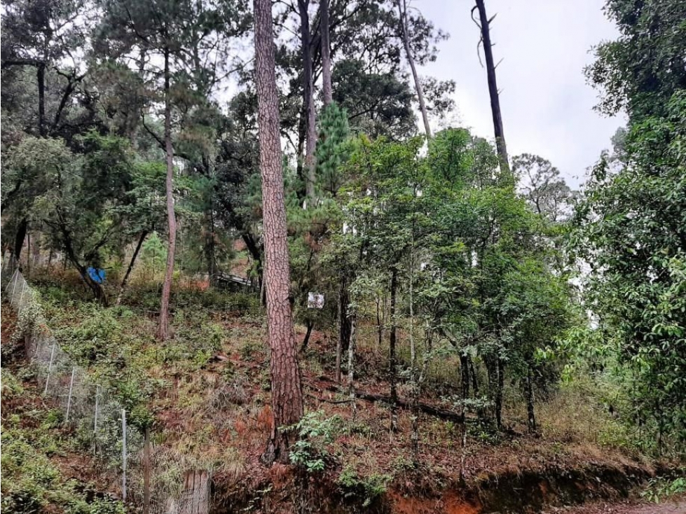 TERRENO EN VENTA EN AVÁNDARO