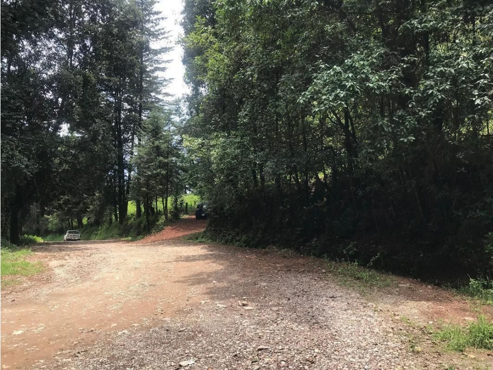 Terreno en venta, San Simón el Alto