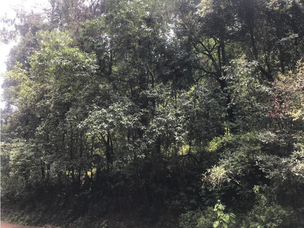 Terreno en venta, San Simón el Alto — foto 4