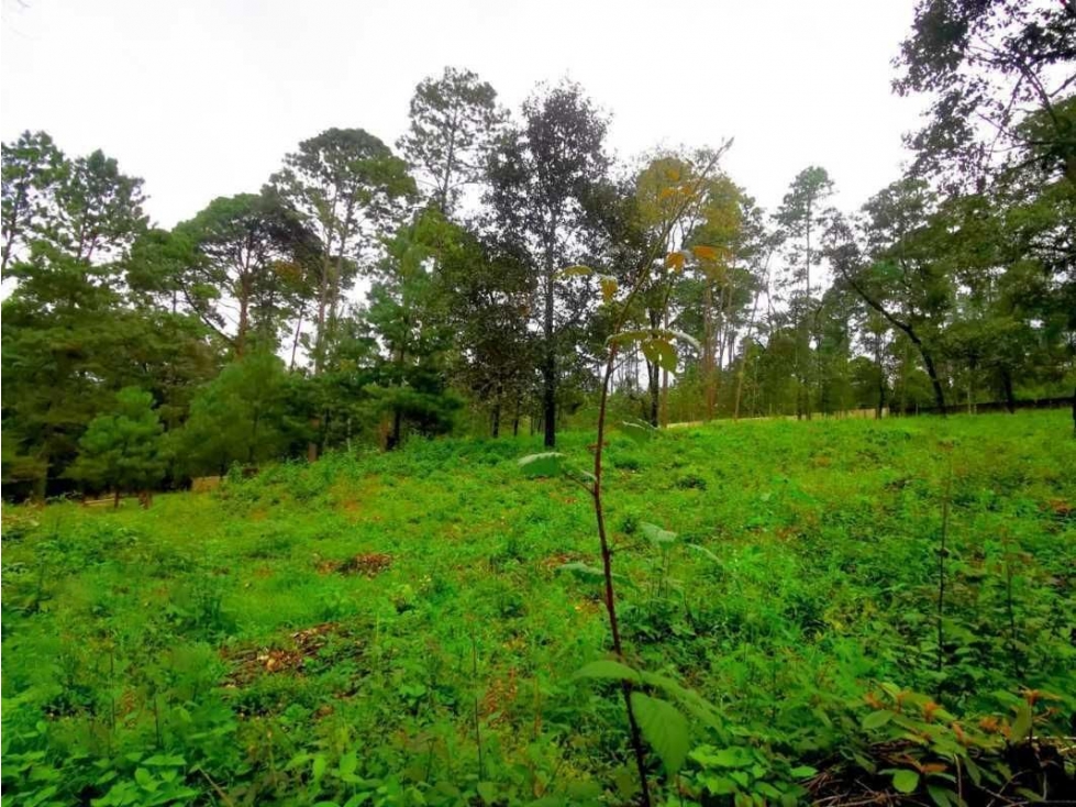 Terreno en venta, en Valle de Bravo — foto 4