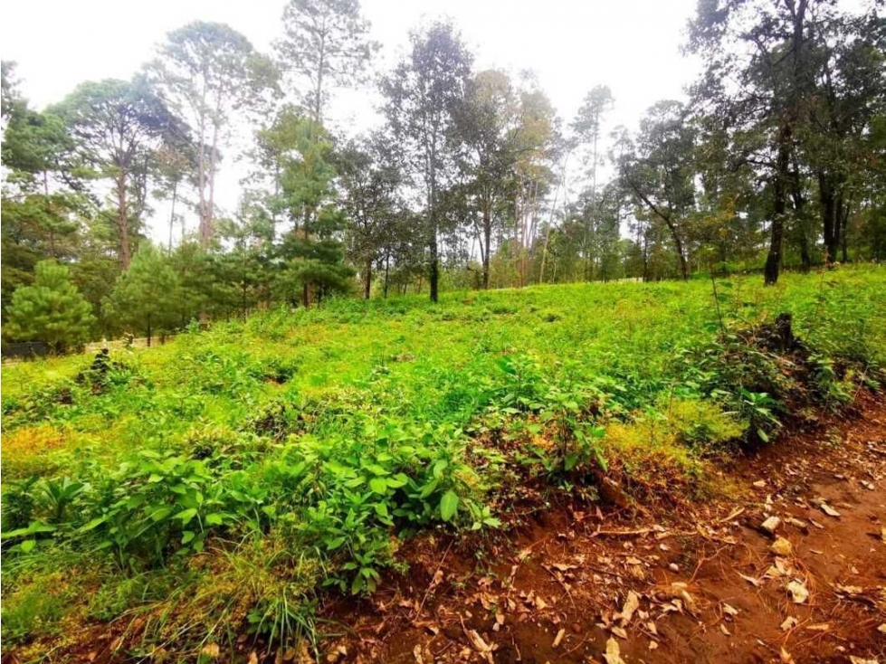 Terreno en venta, en Valle de Bravo — foto 5