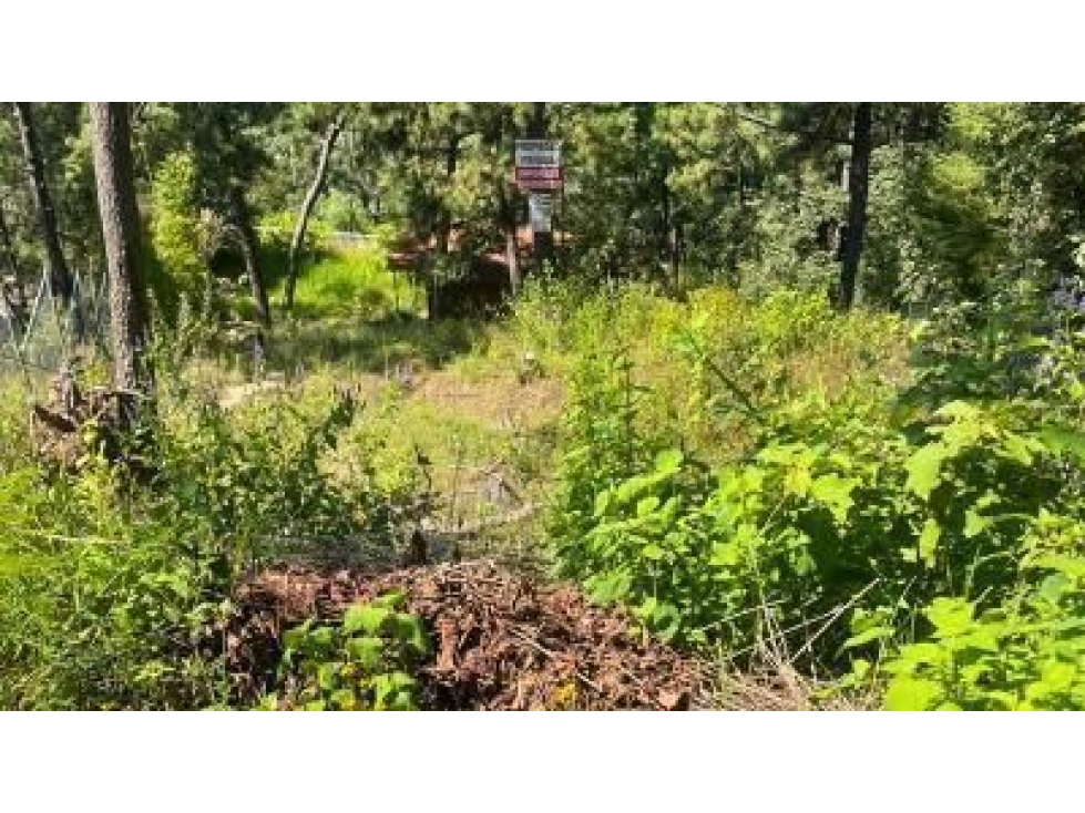 Terreno en Venta Valle de Bravo vista al Lago. - 4