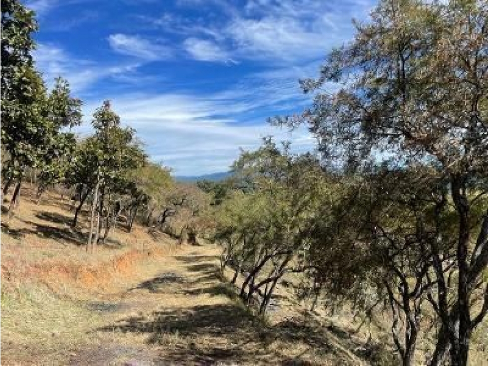 Venta de terreno con vista al lago, San Gaspar Valle de Bravo - 4