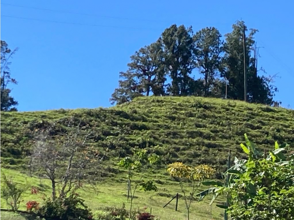 VENTA DE ESPECTACULAR LOTE EN EL PEÑOL CCZ - 2