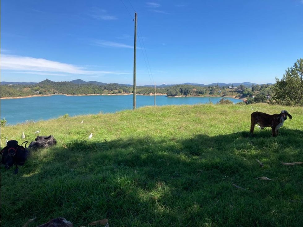 VENTA DE ESPECTACULAR LOTE EN EL PEÑOL CCZ - 4