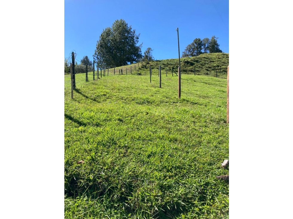 VENTA DE ESPECTACULAR LOTE EN EL PEÑOL CCZ - 5