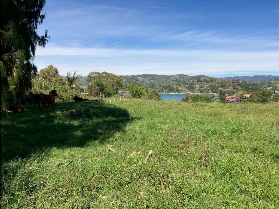 VENTA DE ESPECTACULAR LOTE EN EL PEÑOL CCZ - 6