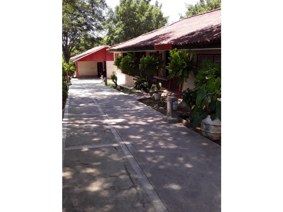 VENTA DE FINCA EN SOPETRAN CON PISCINA Y ARBOLES FRUTALES CCZ — foto 5