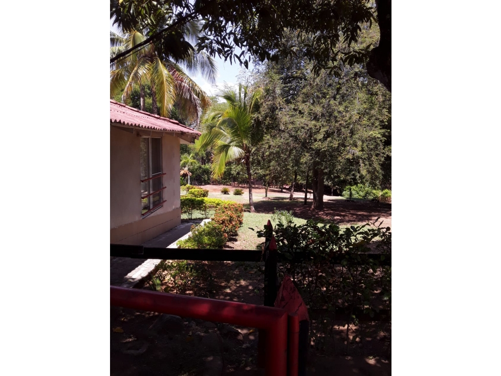 VENTA DE FINCA EN SOPETRAN CON PISCINA Y ARBOLES FRUTALES CCZ — foto 6