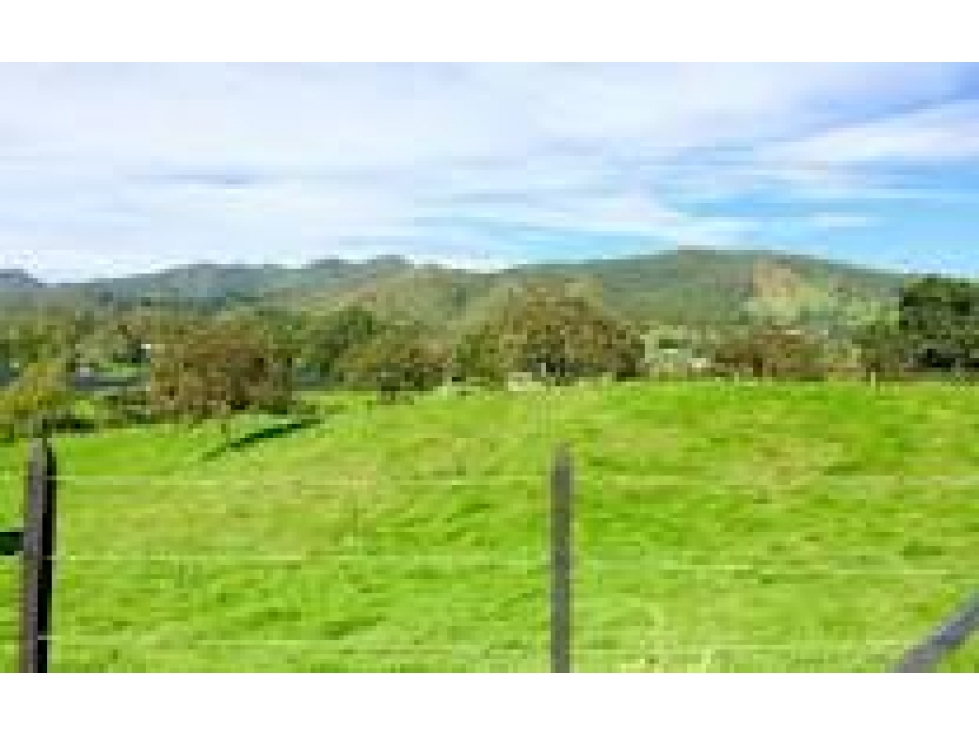 LOTE EN LA CEJA EN VENTA UNIDAD MONTE CAPIRO HERMOSO CCZ — foto 2