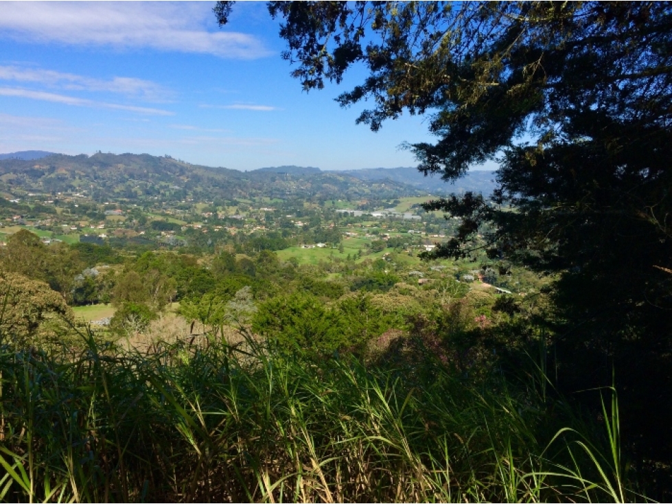 LOTE EN LA CEJA EN VENTA UNIDAD MONTE CAPIRO HERMOSO CCZ — foto 4
